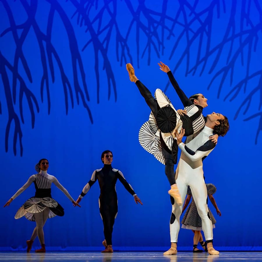 De Dutch Don’t Dance. Dus wel. In Alice in Escherland!